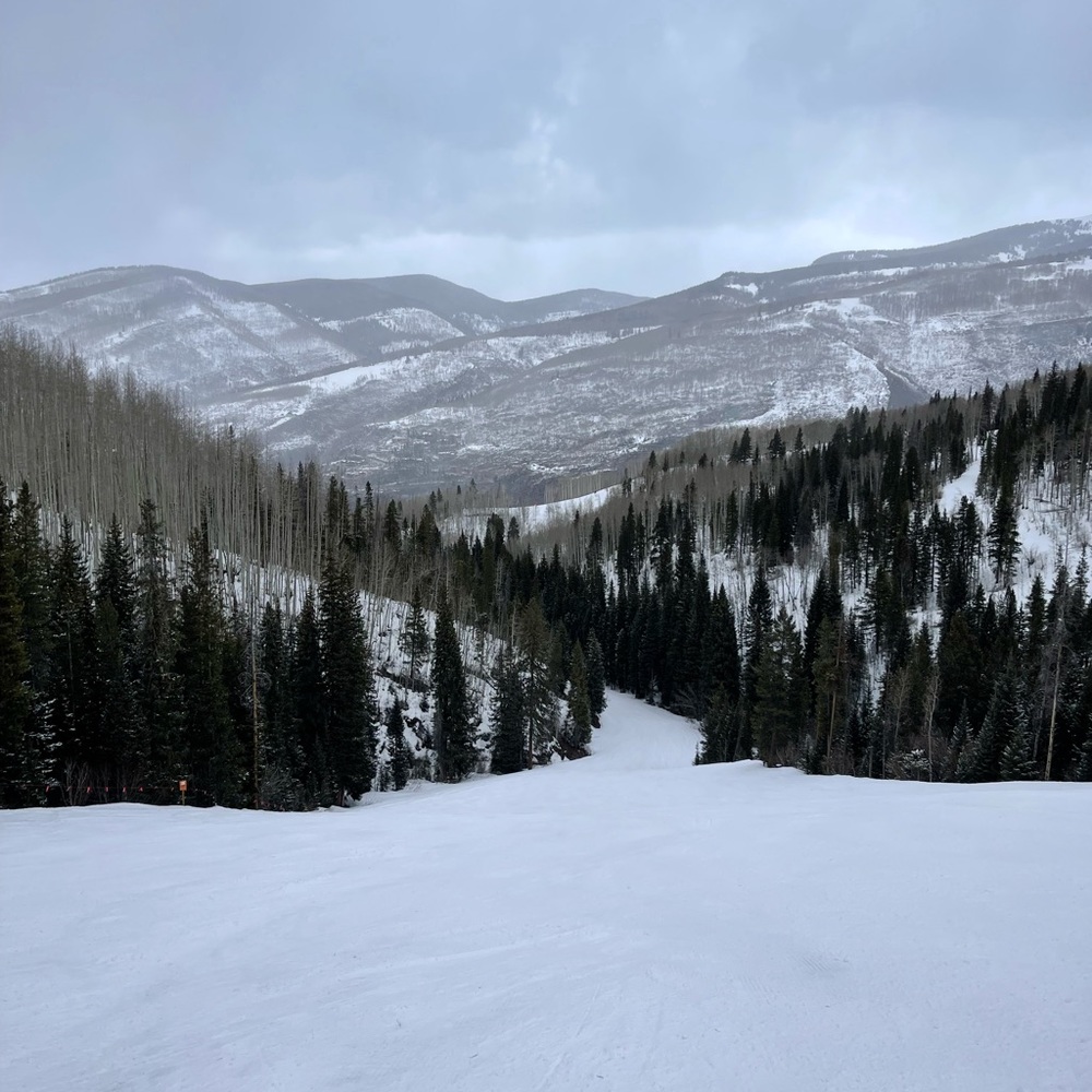 Meet your Posher, Andre H